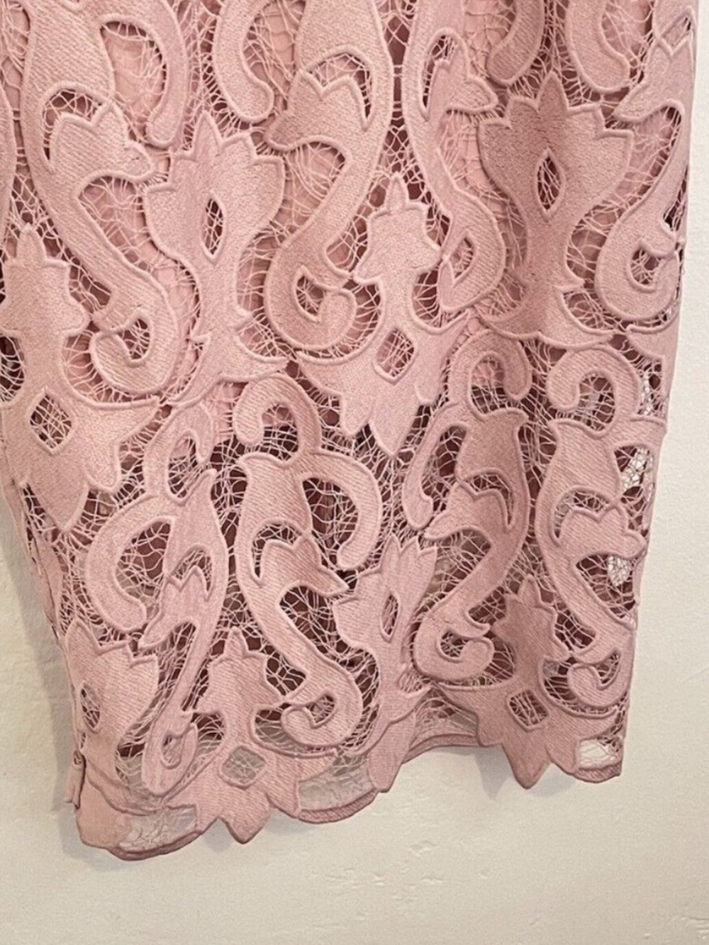 Bardot Blush Pink Lace Midi Dress - Picture 5 of 7